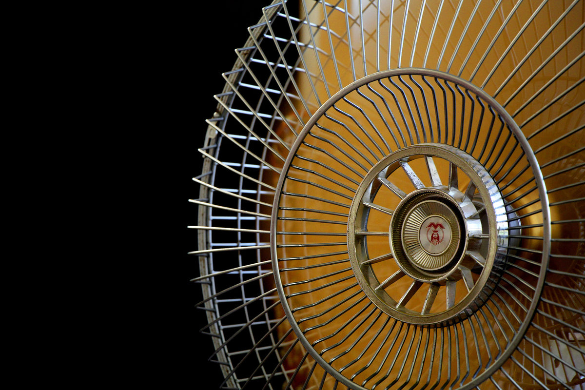 Pedestal Fans vs Ceiling Fans | mhcworld.co.za
