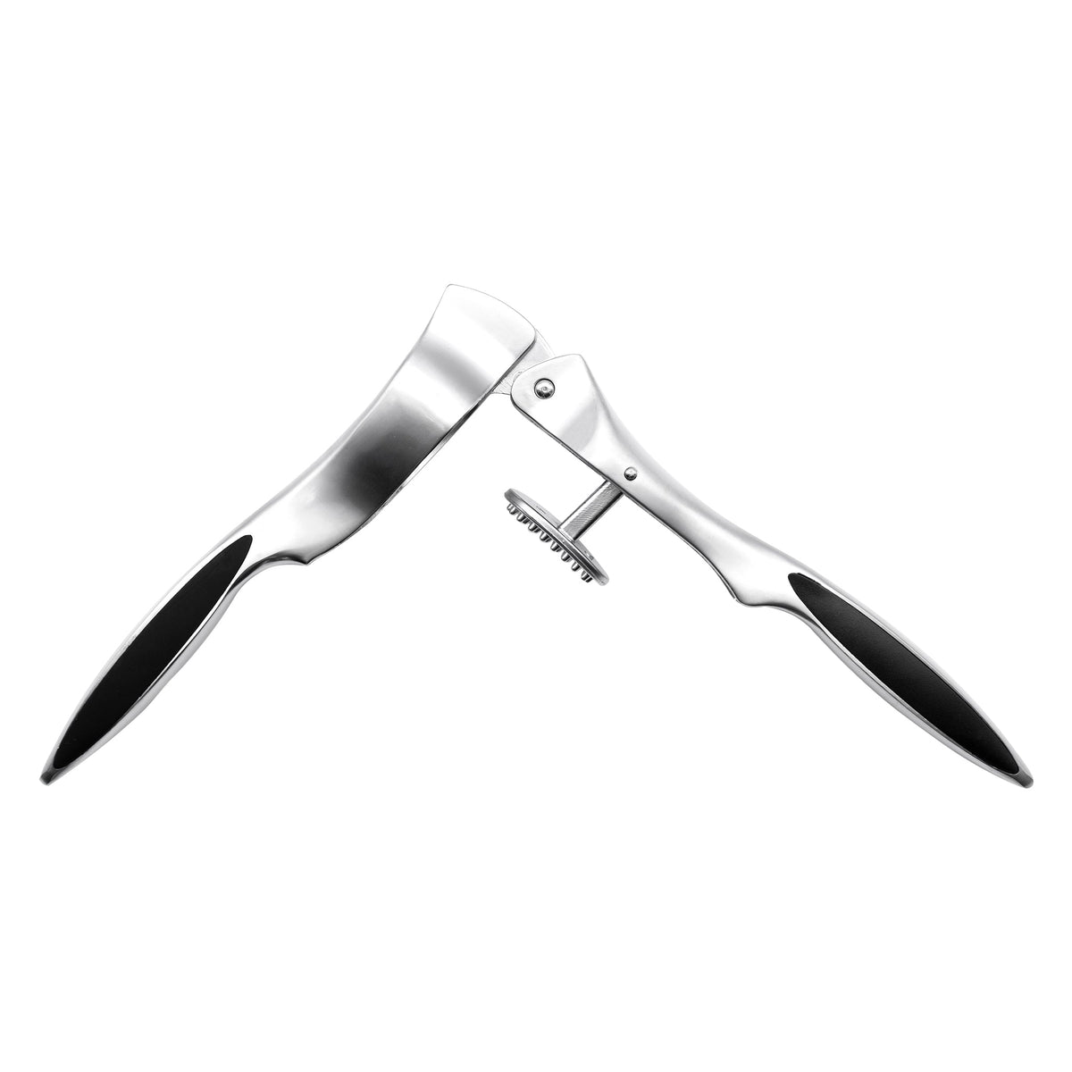 Regent Kitchen Deluxe Garlic Press, 170mm 21224