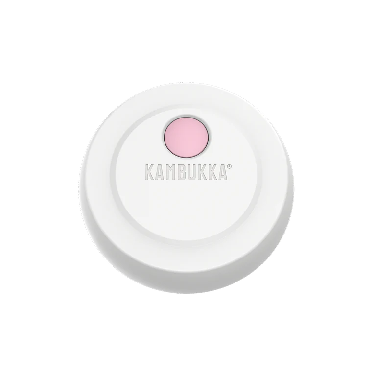 Kambukka Bora Double Wall Insulated Lunch Box Deep Teal 600 ml Baby Pink