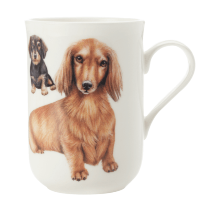 Maxwell & Williams MUG Maxwell & Williams Cashmere Dog Dachshund Mug 300ml (6871233986649)