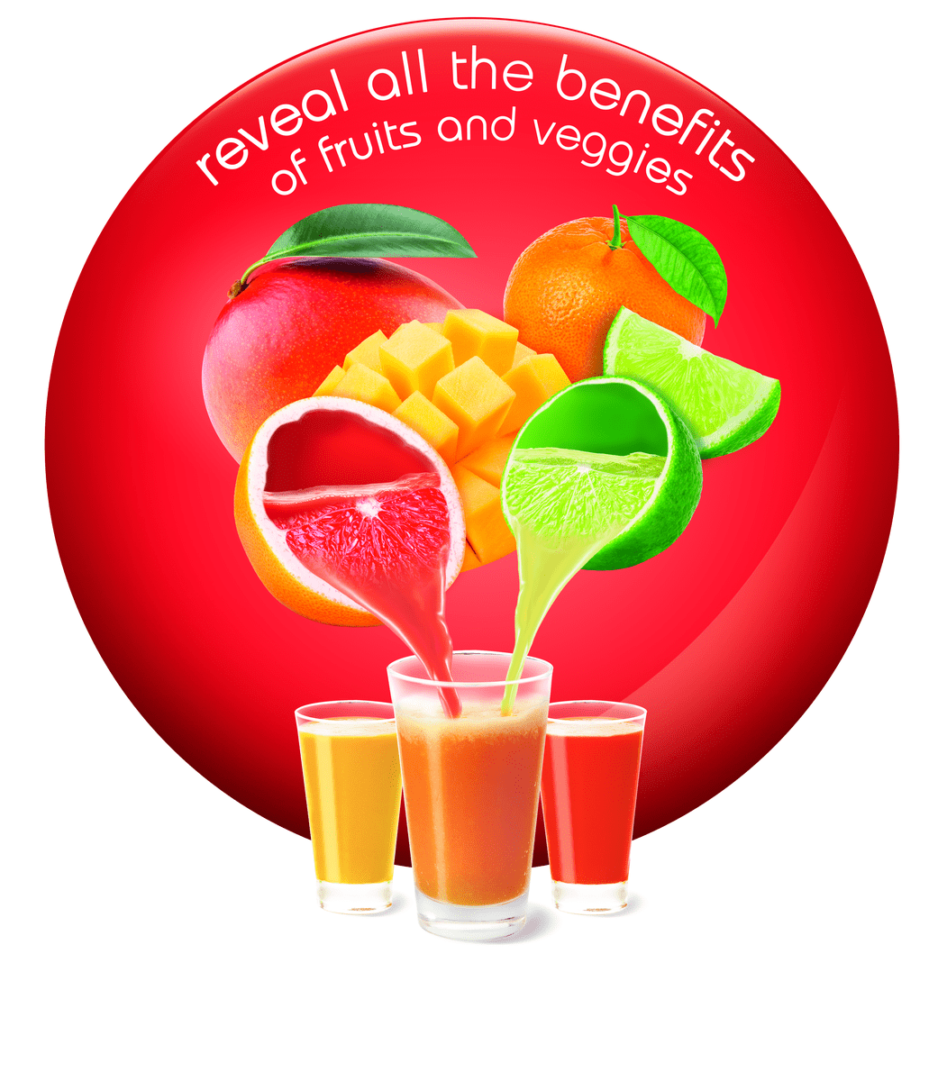 Moulinex blender Moulinex Frutelia Plus Metal Juice Extractor JU425D10 (7476986052697)