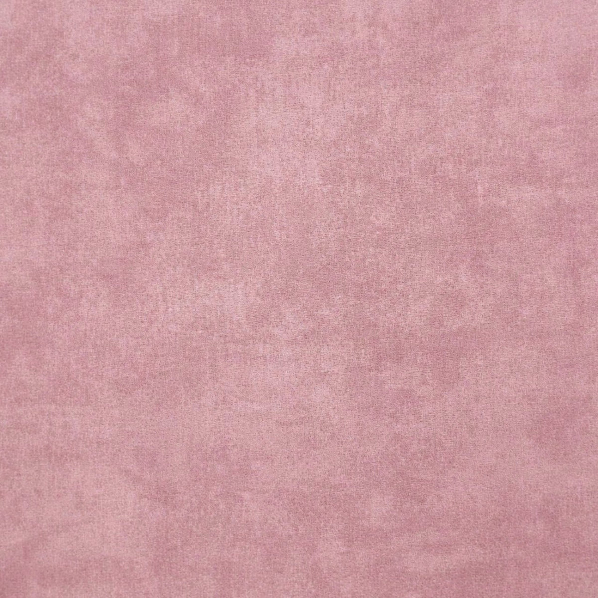 Fabric Printed Percale Sheeting 280 cm.