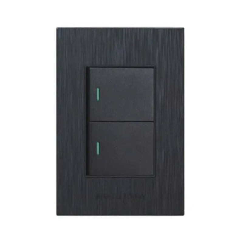 Switch 2 Lever 1 way S6-102/1