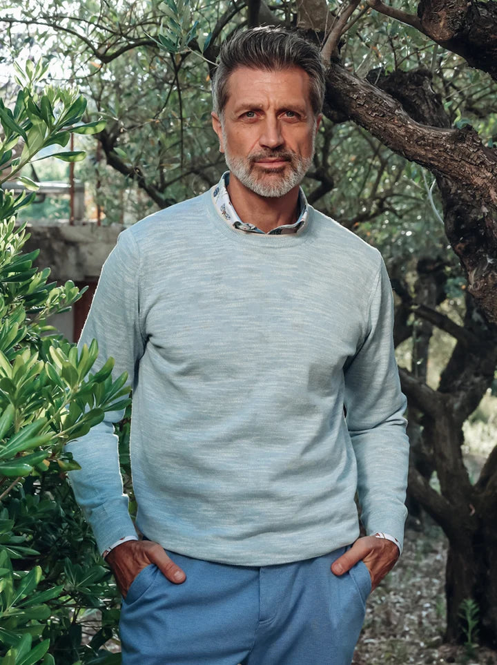 A Fish Named Fred Men's Classic Pullover-Light Blue 33.501