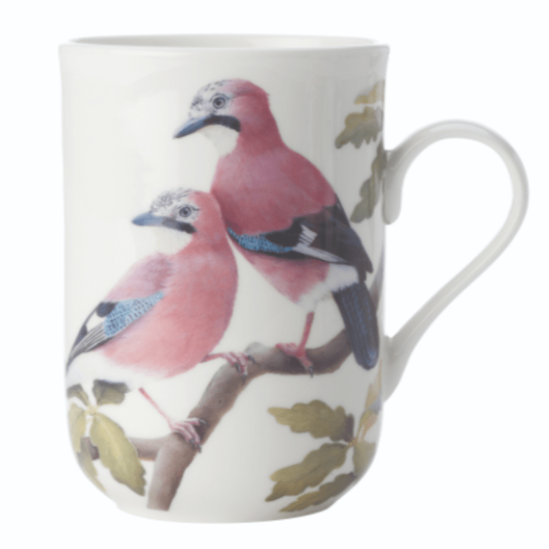 Maxwell & Williams MUG Maxwell & Williams Birds of the World Katherine Castle Mug 300ML Eurasian Jay (6936766677081)