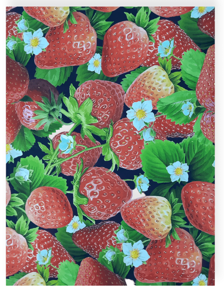 Sugar Textiles Curtain Fabrics Sugar Textiles Strawberries Black (7296717783129)