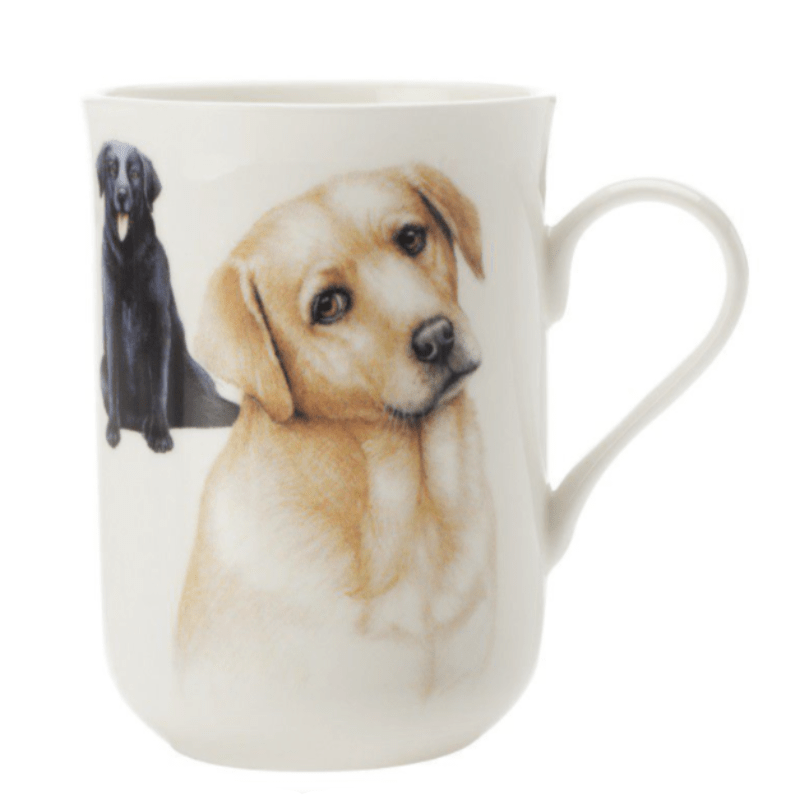 Maxwell & Williams MUG Maxwell & Williams Cashmere Dog Labrador Mug 300ml (6871211933785)