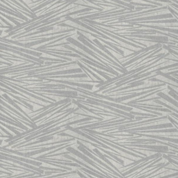 Papini wallpaper Papini Astro Silver Wallpaper