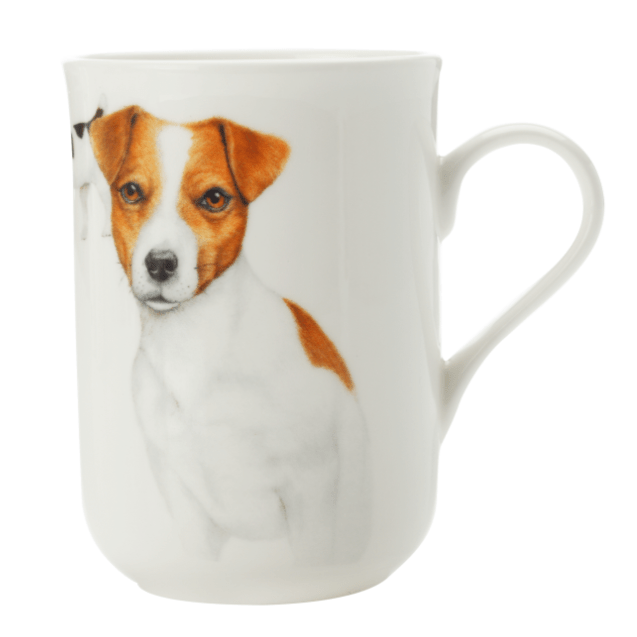 Maxwell & Williams MUG Maxwell & Williams Cashmere Dog Jack Russel Mug 300ml (6871192109145)