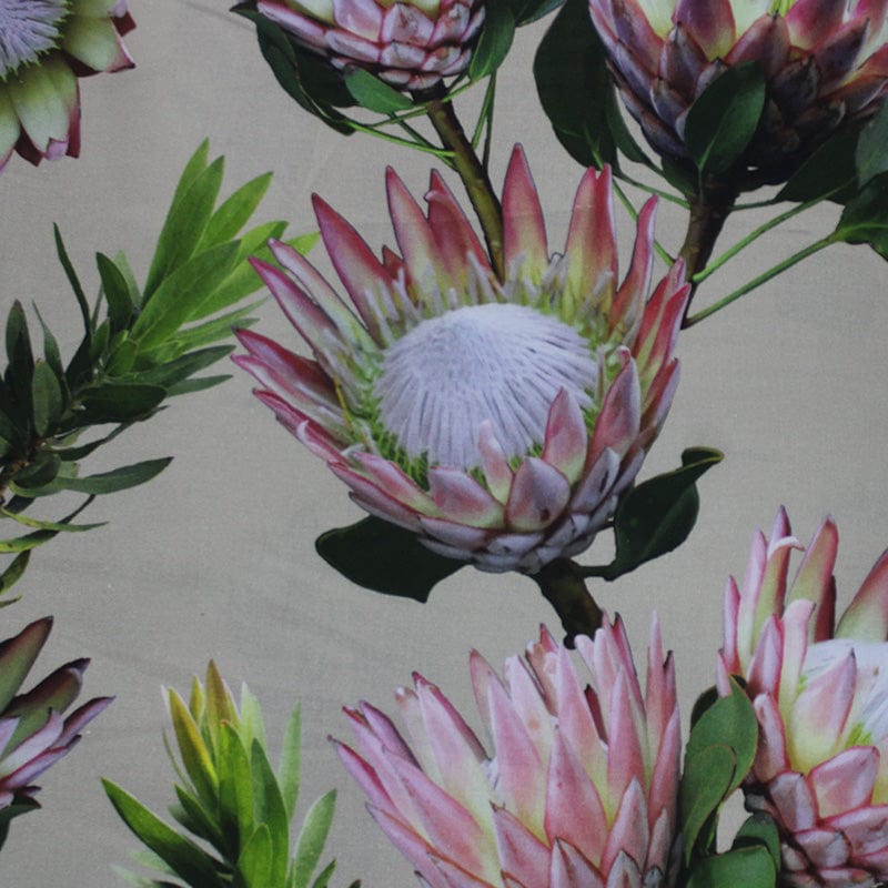 CANVAS Fynbos White Canvas Fabric 140cm (6959782789209)