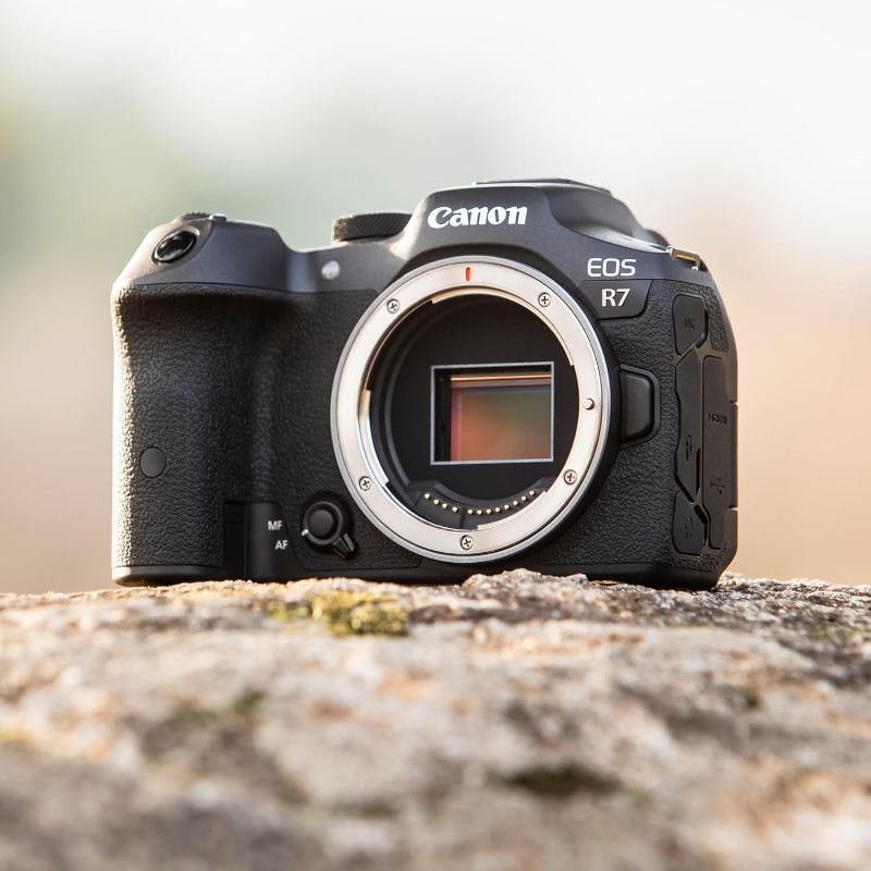 Canon EOS R7 Mirrorless Camera Body + Ef-eos R Eu26.