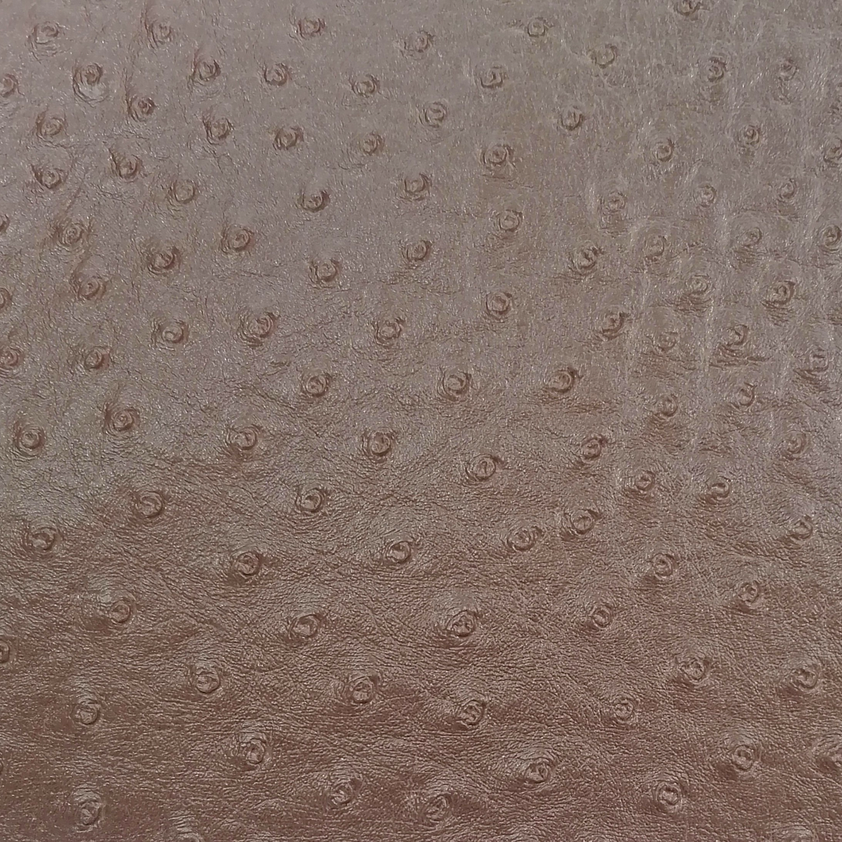 Fabric Upholstery Ostridge Vinyl Vynost 140 cm