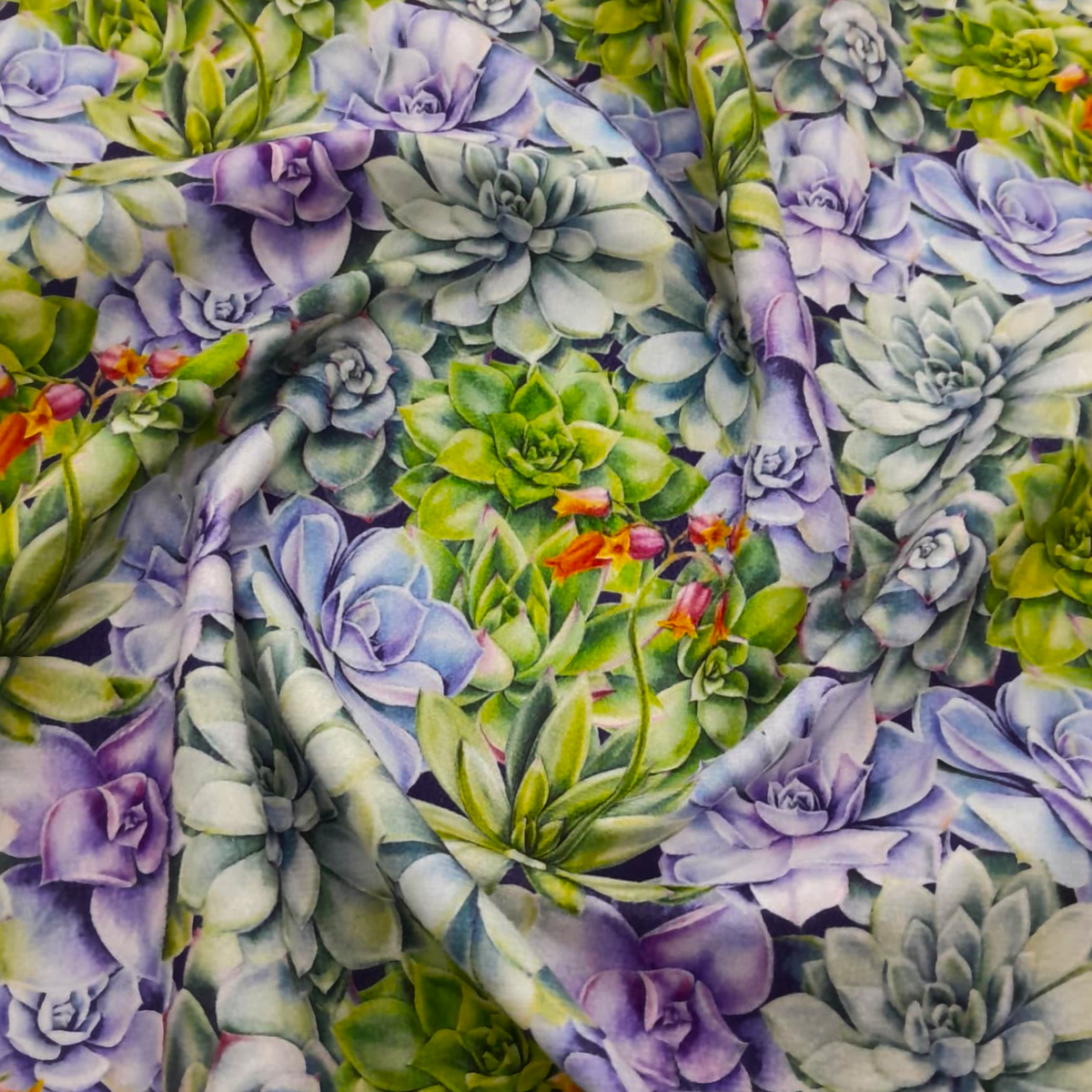 Upholstery Printed Velvet Desinger Succulent 140 cm.