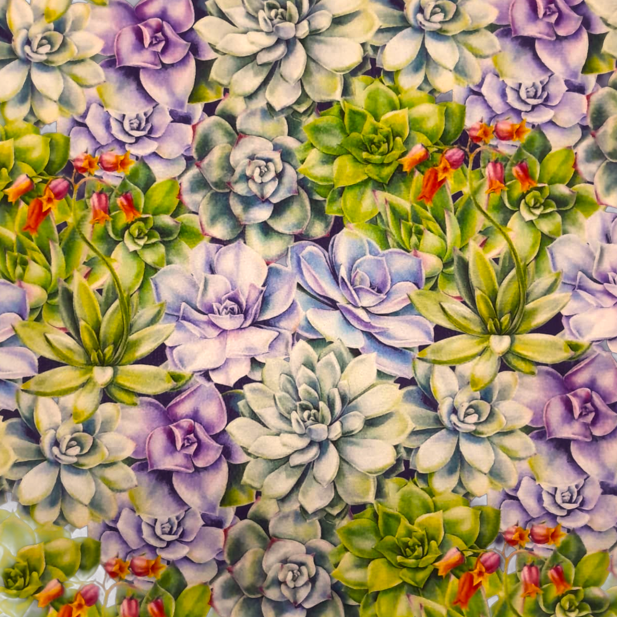 Upholstery Printed Velvet Desinger Succulent 140 cm.