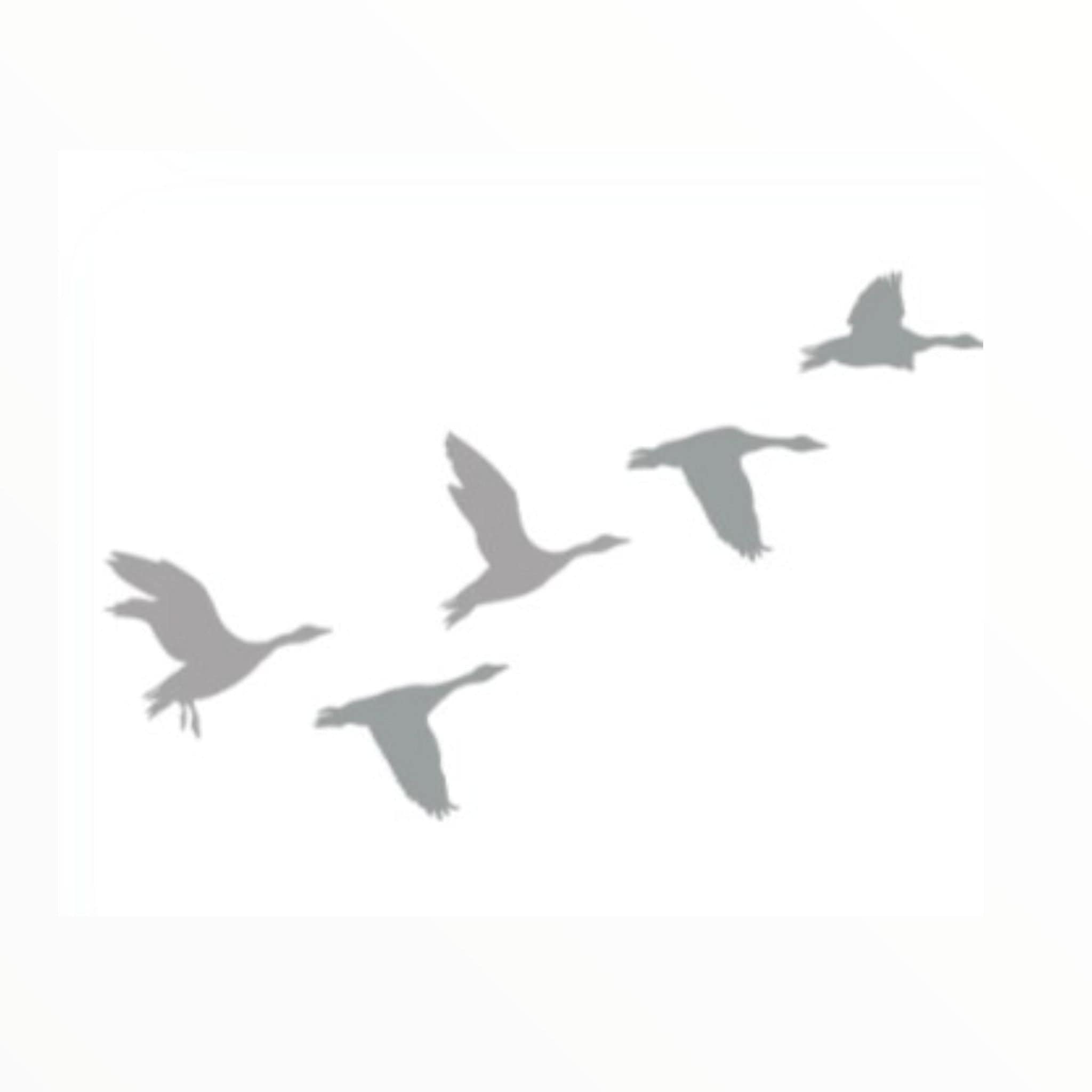 Decorative Vinyl Stickers Collection (7953605197913)