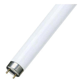 Fluorescent Tube 18W Cool White T8.