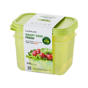 LocknLock Fresh Block Rectangle 640ml 2 Piece HLE5200S2CR