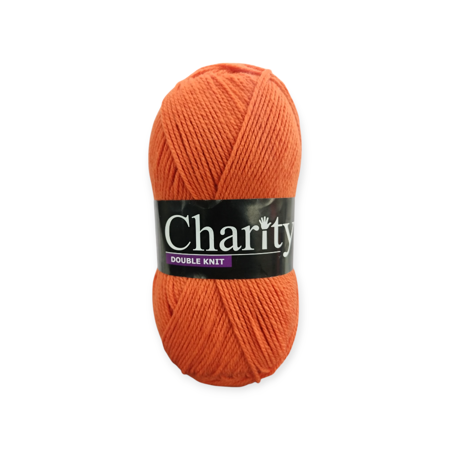 Charity DK Pullskein Wool 100g