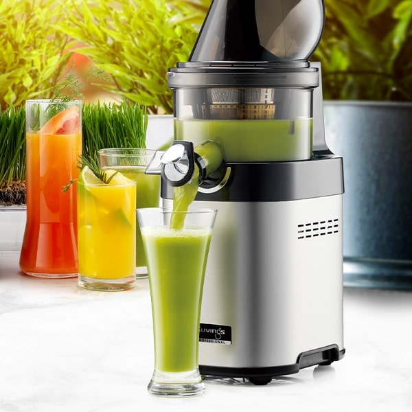 Kuvings Chef CS600 Commercial Slow Juicer/Cold Press