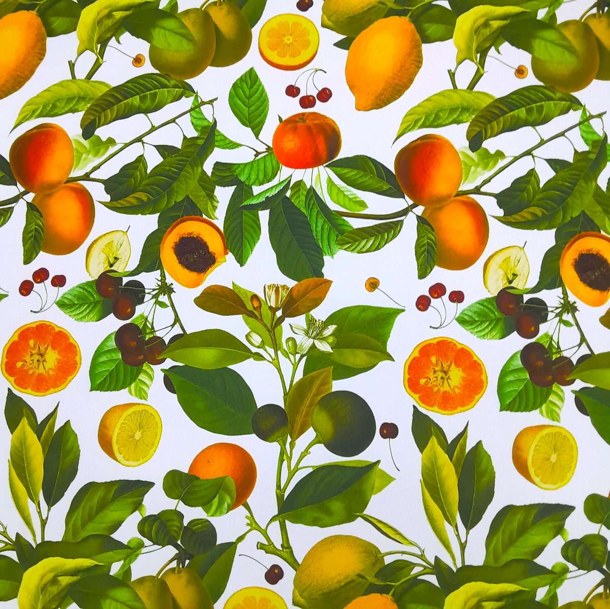 Printed Mini Matt 7322 Lemons 140 cm.