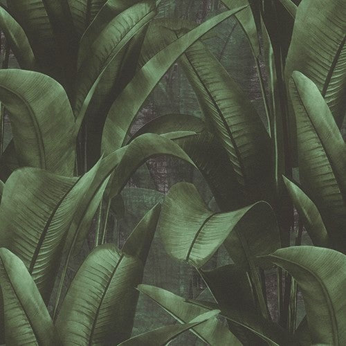 Manilla Night Garden Wallpaper Roll 0.53m x 10.0m (8018909233241)