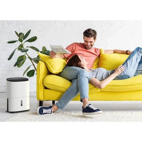 MeacoDry Arete® One 12L Low Energy Dehumidifier Air Purifier.