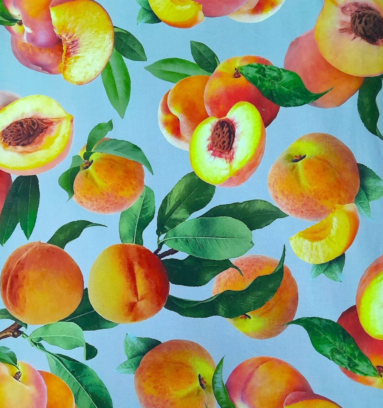 Tablecloth Peaches Linen 150 cm x 300 cm