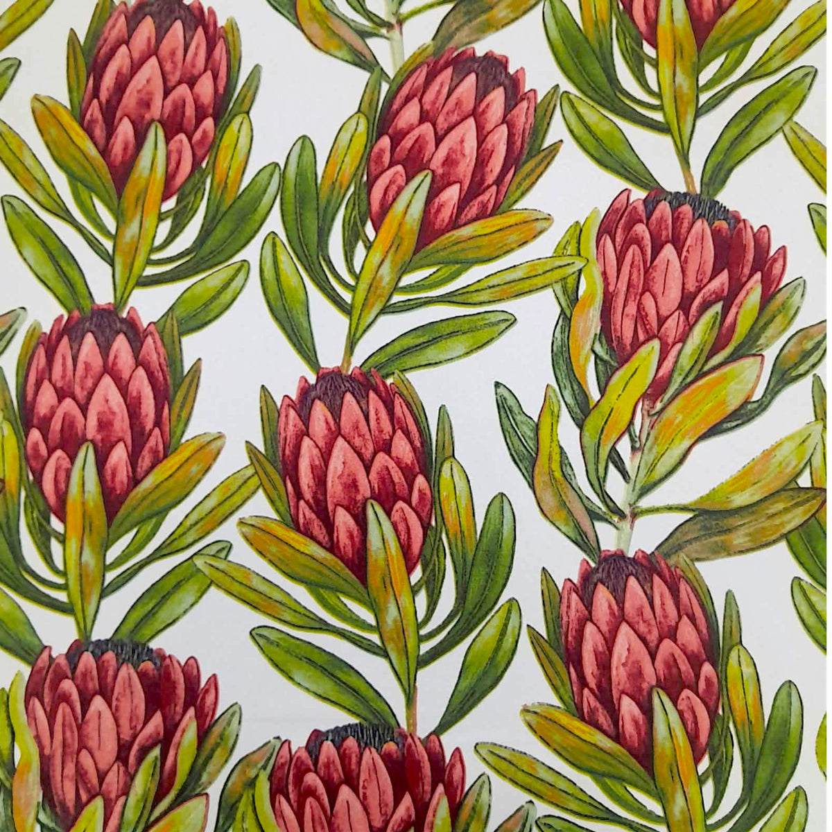 Fabric Lb Prints Protea White 140 cm.