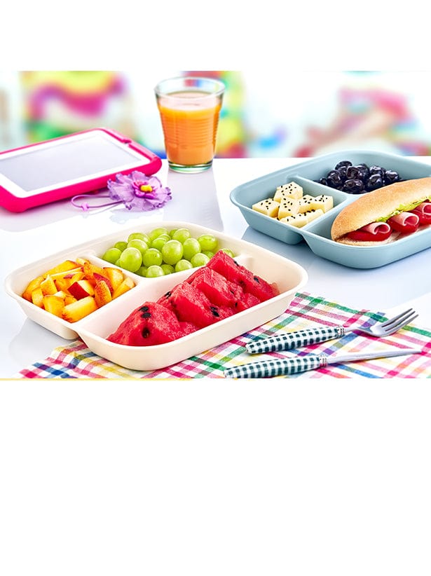 Hobby Life STORAGE CONTANER Hobby Life Smart 3 Compartment Storage Container 3 x 1.15L 021383 (7464851439705)