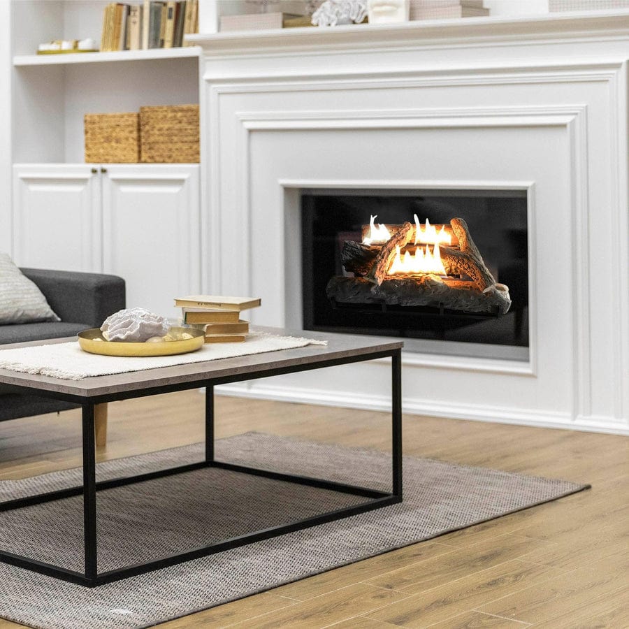 alva GAS HEATERS Alva Log Fireplace Gas Heater GFP101