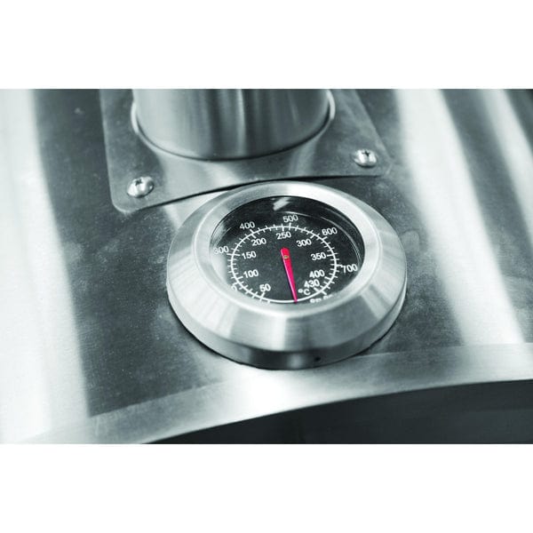 alva Pizza Oven Alva Cibo Stainless Steel Gas Pizza Oven GPO101 (7767889182809)