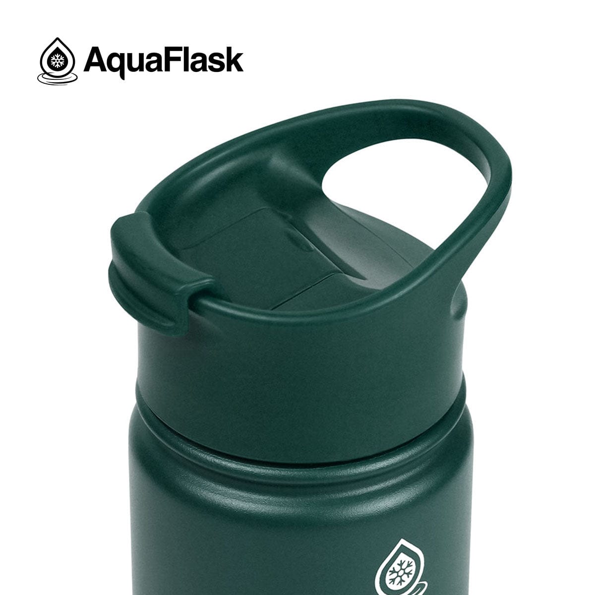 Aquaflask FLASK BOTTLE Aquaflask 414ml Flask Moss Green AF-P26