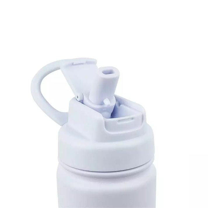 Aquaflask FLASK BOTTLE Aquaflask Earth Flipsip 650ml Flask Glacier