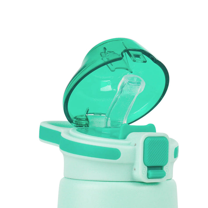 Aquaflask FLASK BOTTLE Aquaflask Mallows 355ml Flask Mint Chip AF-L17