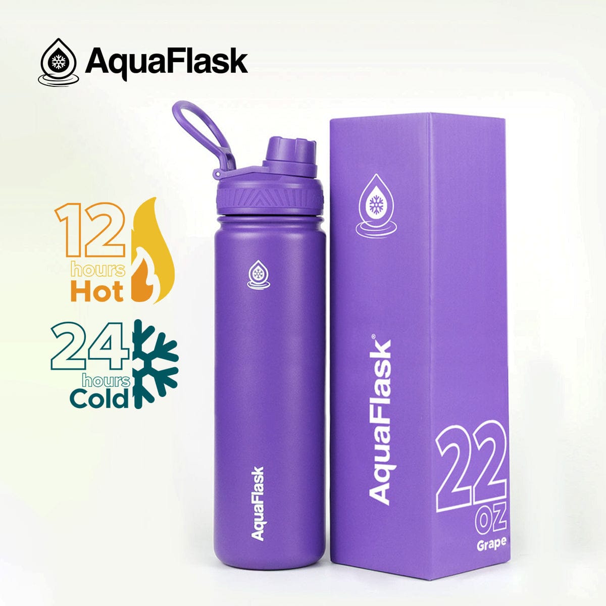 Aquaflask FLASK BOTTLE Aquaflask Regular 650ml Flask Grape AF-R24