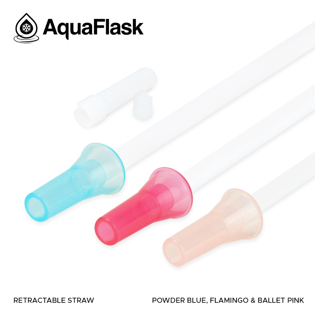 Aquaflask FLASK BOTTLE Aquaflask Retractable Straw AF-A221