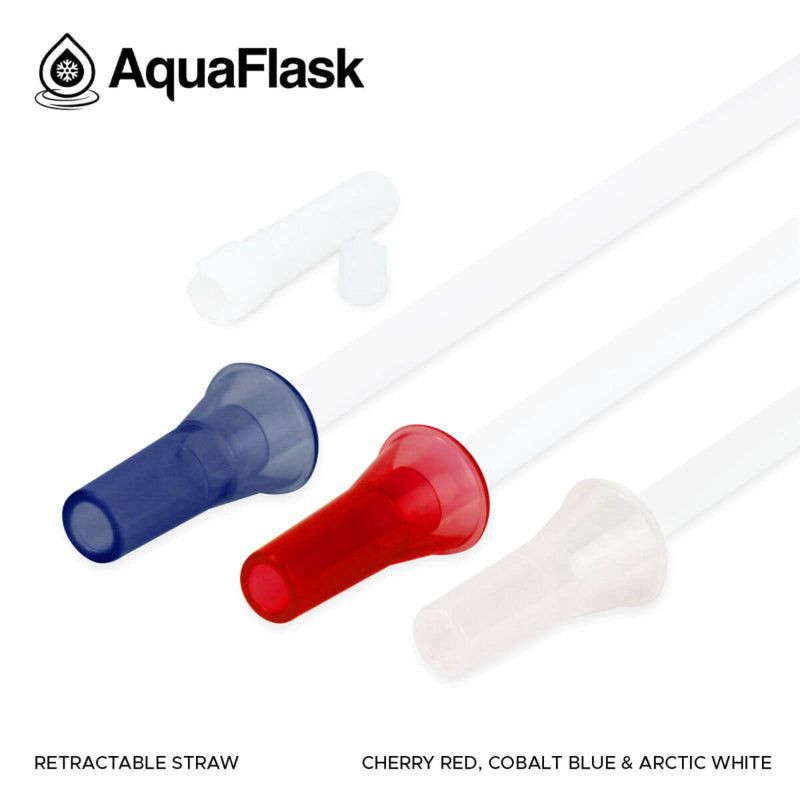 Aquaflask FLASK BOTTLE Aquaflask Retractable Straw AF-A221