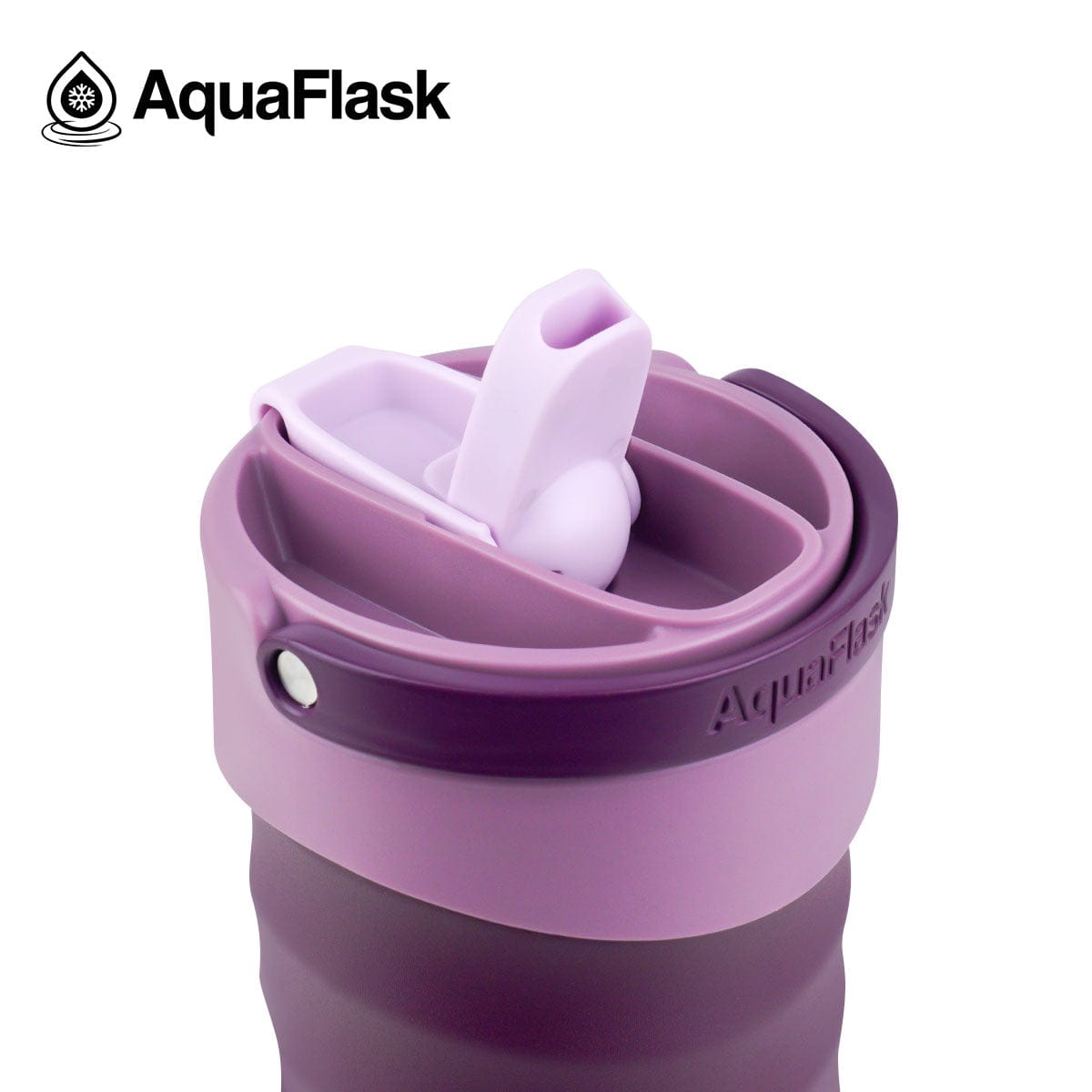 Aquaflask FLASK BOTTLE Aquaflask Tumbler 887ml Grape Soda AF-XA10