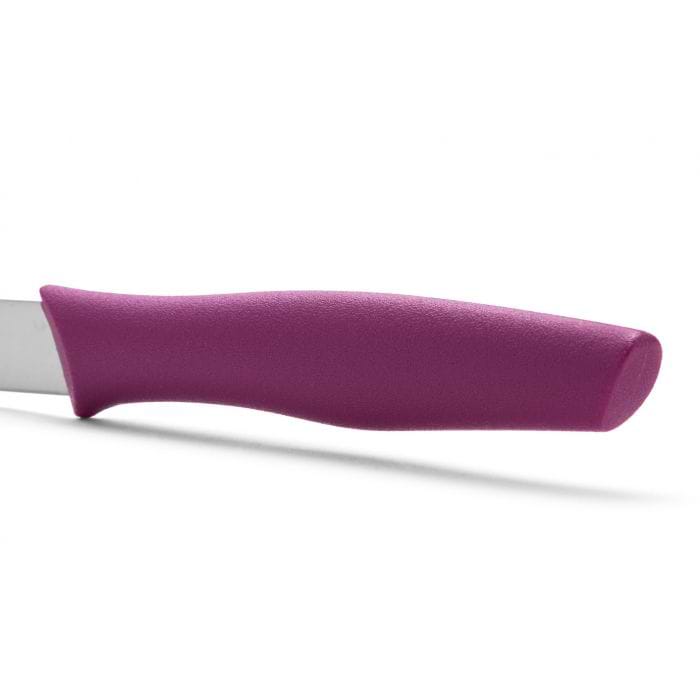 ARCOS CUTLERY Arcos Carded Paring Knife 100 mm Fuchia 8.C188631 (7659863670873)