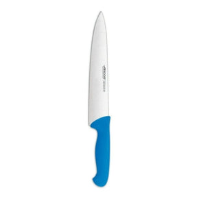 ARCOS Knife Arcos cooks knife Blue 250mm (4723133415513)