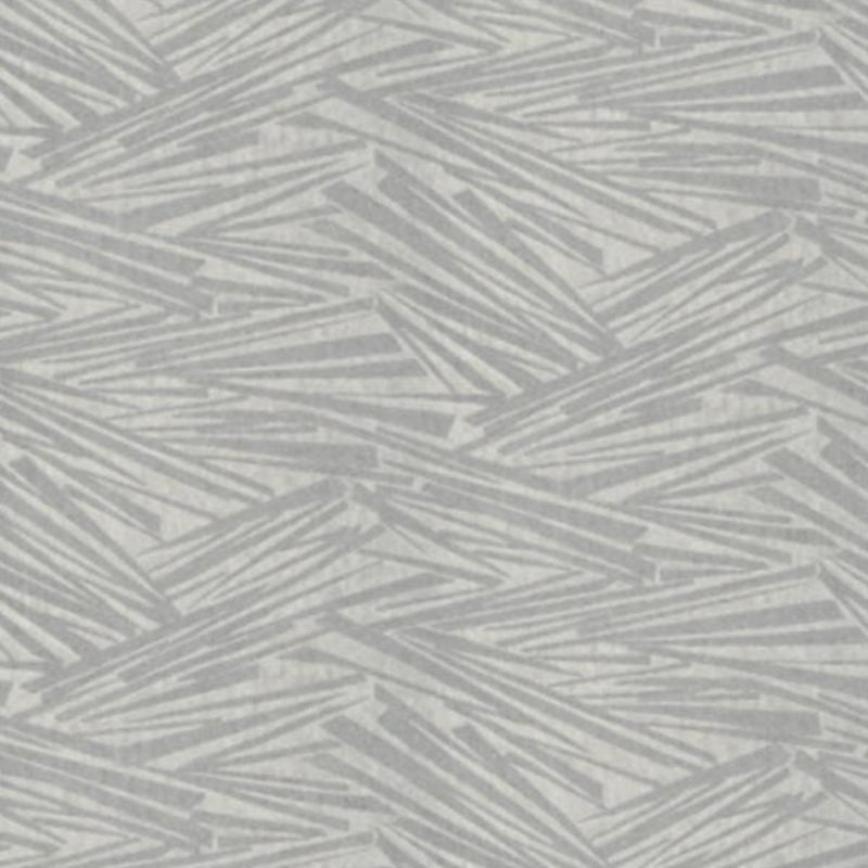 Papini wallpaper Papini Astro Silver Wallpaper