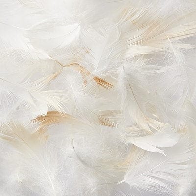 Bed Linen pillow Duck Feather Scatter Cushion Inner 60x60 White (7464508817497)