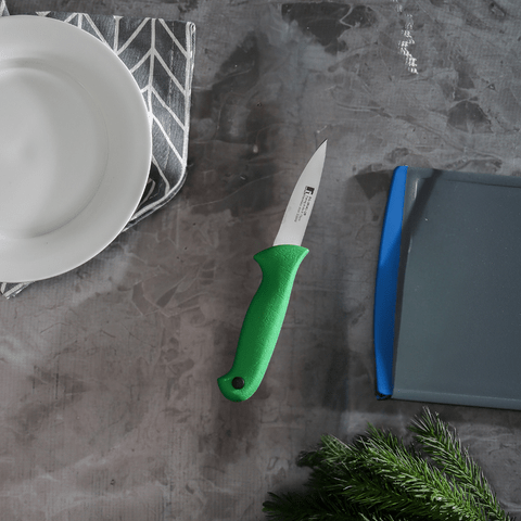 Bergner Knife Bergner Stainless Steel Paring Knife BG-39143-GR