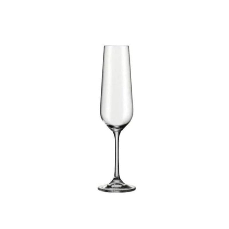 Bohemia Royal Crystal GLASS Bohemia Royal Crystal Champagne Glass 210ml Set Of 6 (7405037617241)