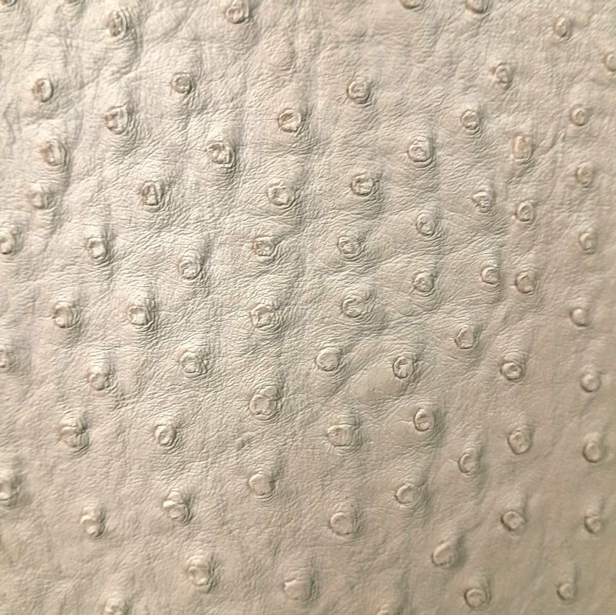 Fabric Upholstery Ostridge Vinyl Vynost 140 cm