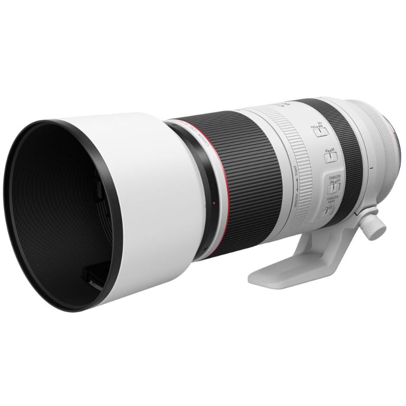 Canon Lens Canon RF 100-500mm f/4.5-7.1L IS USM Lens