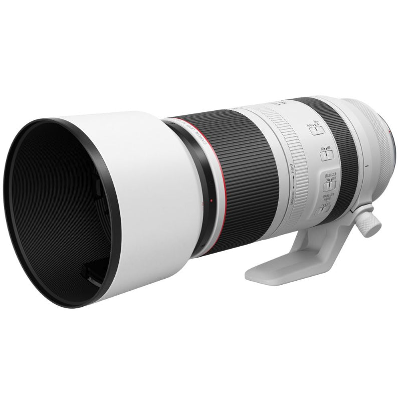 Canon RF 100-500mm f/4.5-7.1L IS USM Lens.