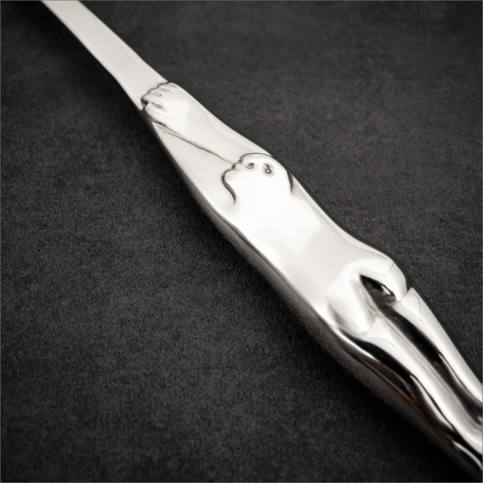 Carrol Boyes Pasta Server Carrol Boyes Diver Serving Spoon 18SV-DV (7895564746841)
