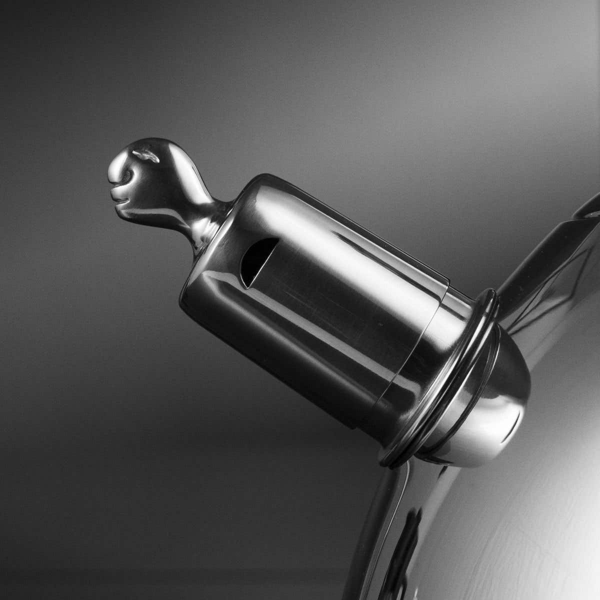 Carrol Boyes Teapot Carrol Boyes Stovetop Kettle Diver 2.5L 18SKET-DV