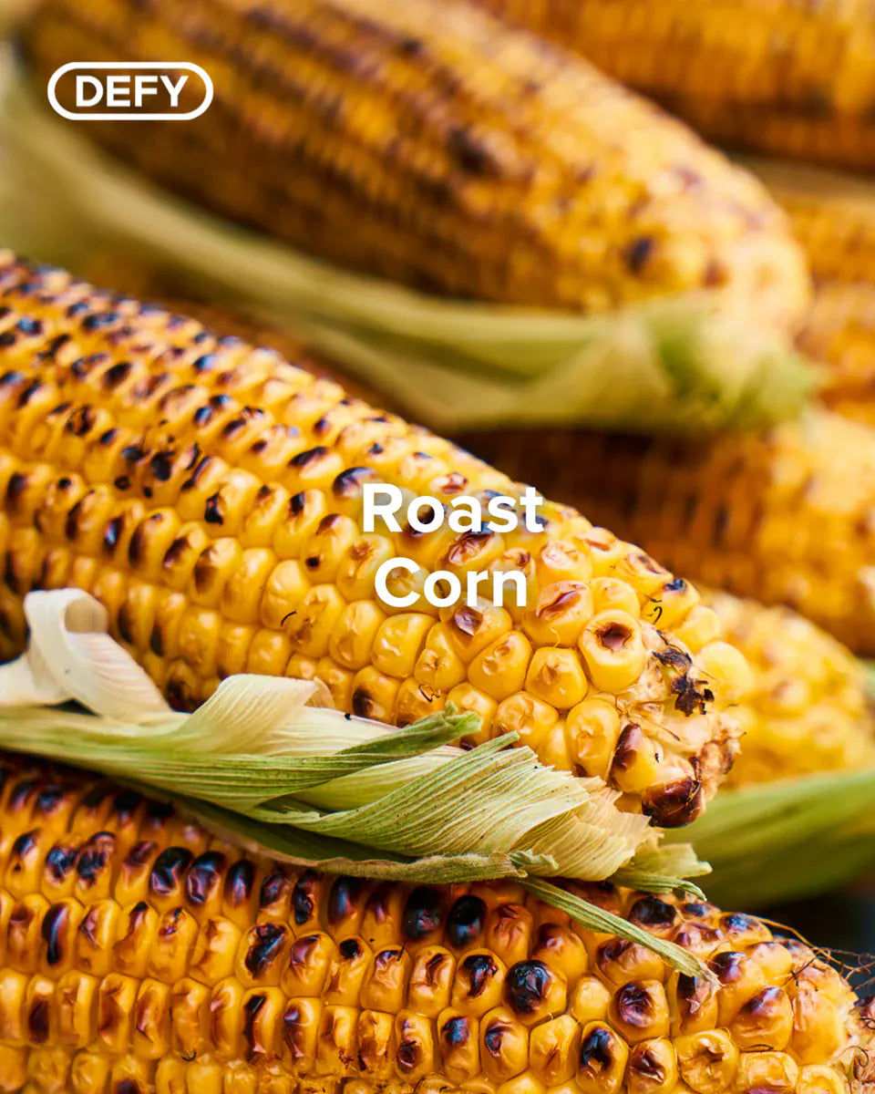 defy AIR FRYER Defy Air Fryer Digital 7.6 L Stainless Steel DAF3376DBS